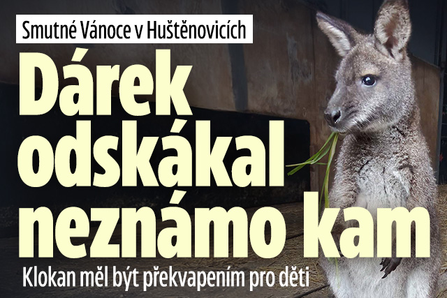 Banner ke žhavému tématu: Smutné Vánoce v Huštěnovicích: Dárek ...