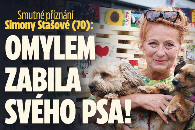 Banner ke žhavému tématu: Smutné přiznání Simony Stašové (70): ...