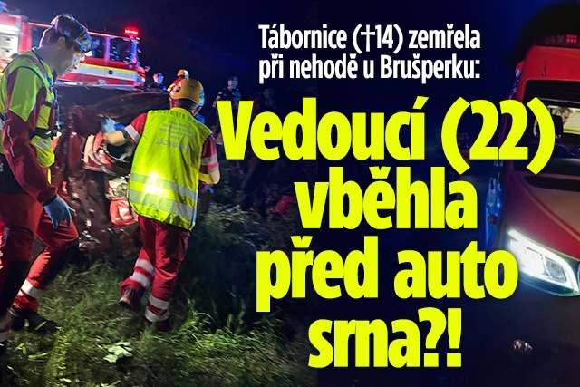 Banner ke žhavému tématu: Tábornice (†14) zemřela při nehodě: ...