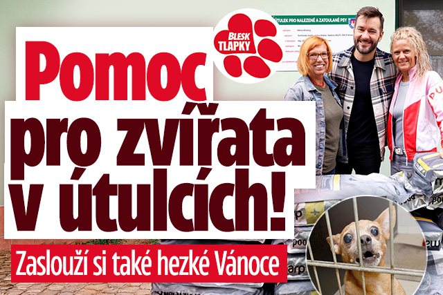 Banner ke žhavému tématu: Pomozme zvířatům v útulcích! Zaslouží ...