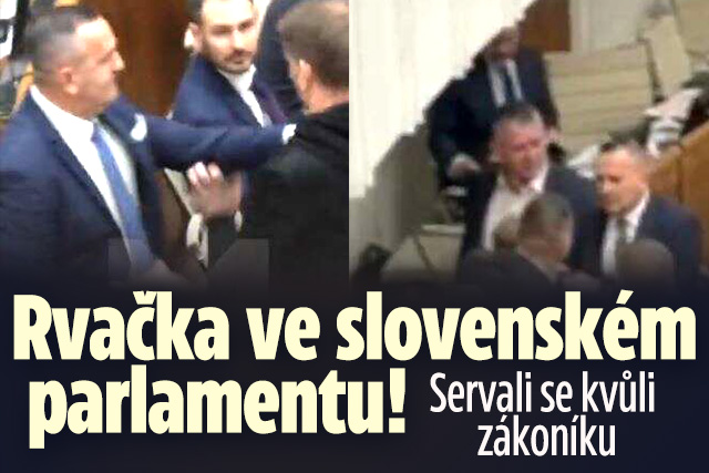 Banner ke žhavému tématu: Rvačka ve slovenském parlamentu! ...