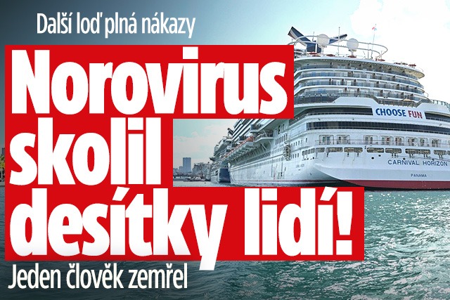 Banner ke žhavému tématu: Další loď nákazy: Norovirus skolil ...
