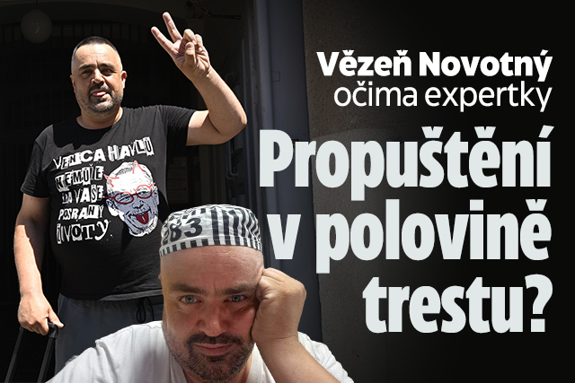 Vězeň Novotný očima expertky: Propuštění v polovině trestu?