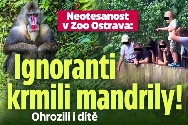 Banner ke žhavému tématu: Ignoranti v Zoo Ostrava krmili ...