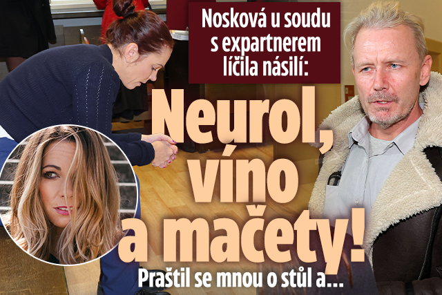 Banner ke žhavému tématu: Nosková u soudu s expartnerem: Praštil ...