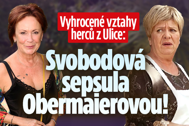 Banner ke žhavému tématu: Vyhrocené vztahy v Ulici: Svobodová ...