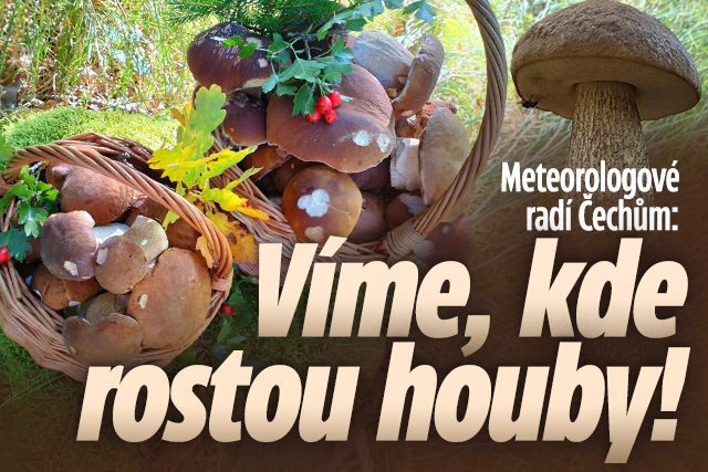 Banner ke žhavému tématu: Meteorologové radí Čechům: Víme, kde ...