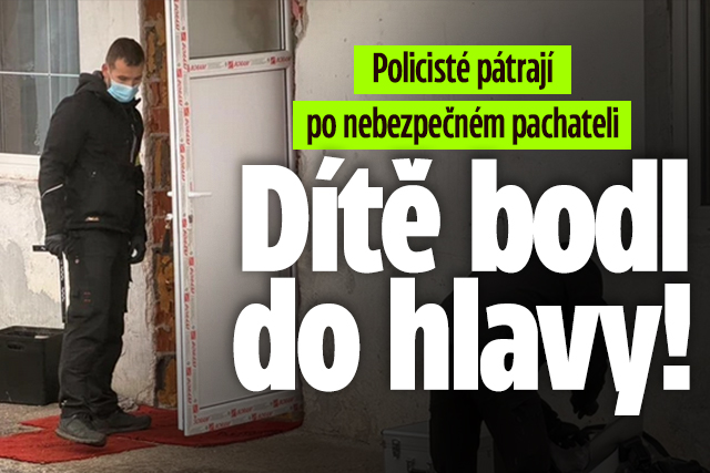 Banner ke žhavému tématu: Policisté pátrají po pachateli: Dítě ...