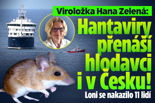 Banner ke žhavému tématu: Viroložka Hana Zelená: Hantaviry ...
