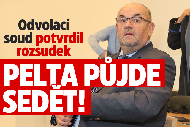 Odvolací soud potvrdil rozsudek: Pelta půjde sedět!