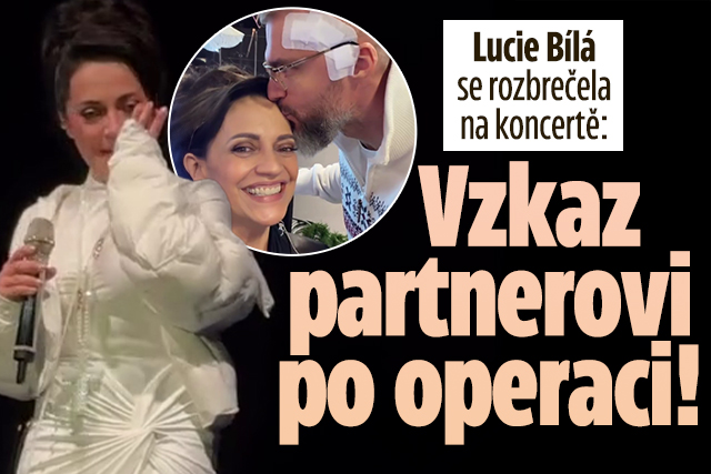 Banner ke žhavému tématu: Lucie Bílá plakala na koncertě: Vzkaz ...