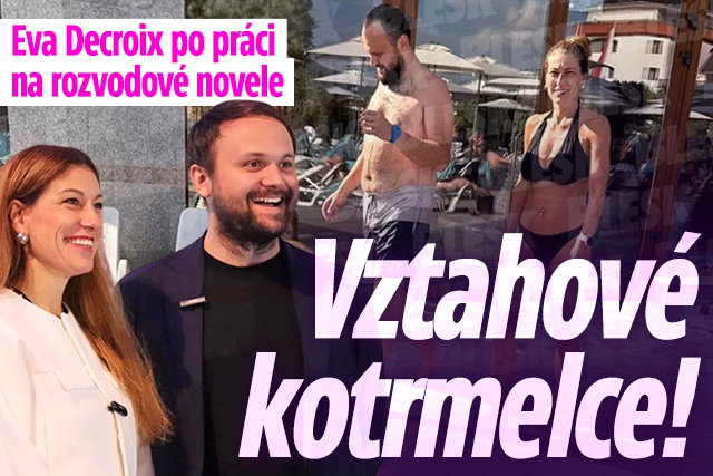 Banner ke žhavému tématu: Decroix po práci na rozvodové novele: ...