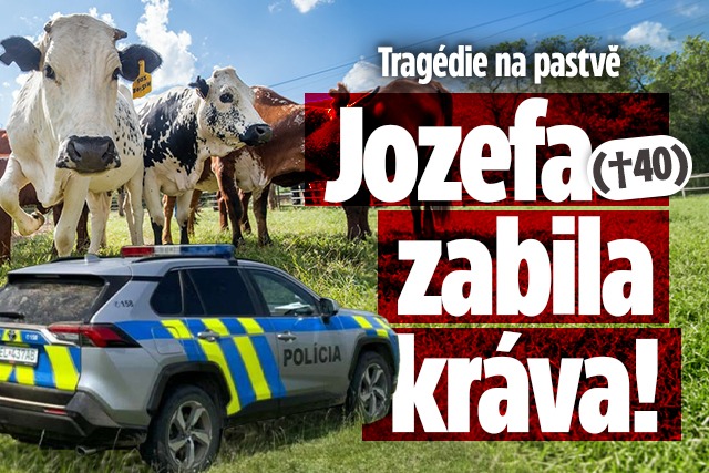 Banner ke žhavému tématu: Tragédie na pastvě: Jozefa (†40) zabila ...