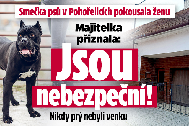 Banner ke žhavému tématu: Smečka psů v Pohořelicích napadla ...