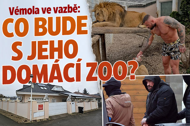 Banner ke žhavému tématu: Vémola ve vazbě: Co teď bude s jeho ...
