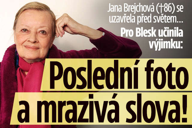 Banner ke žhavému tématu: Jana Brejchová (†86): Poslední foto a ...