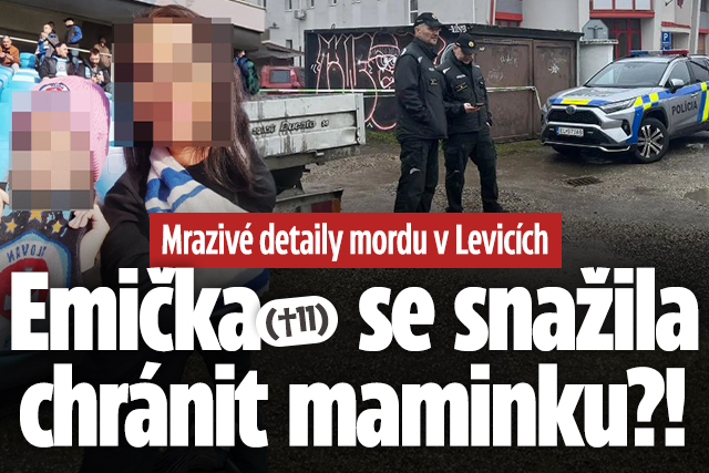 Banner ke žhavému tématu: Detaily mordu v Levicích: Ema (†11) se ...