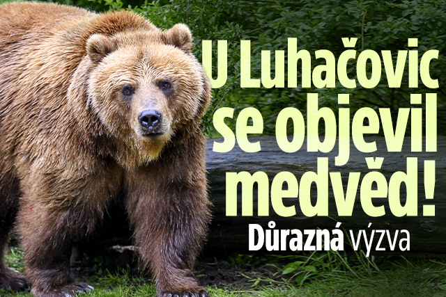 U Luhačovic se objevil medvěd: Důrazná výzva