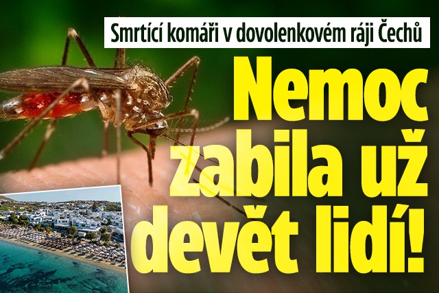 Banner ke žhavému tématu: Smrtící komáři v dovolenkovém ráji: ...