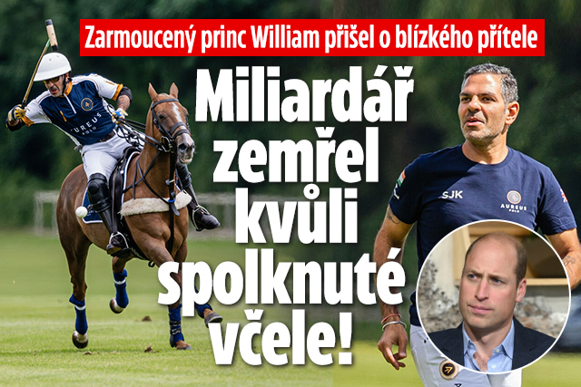 William přišel o přítele: Miliardář zemřel, spolkl včelu!