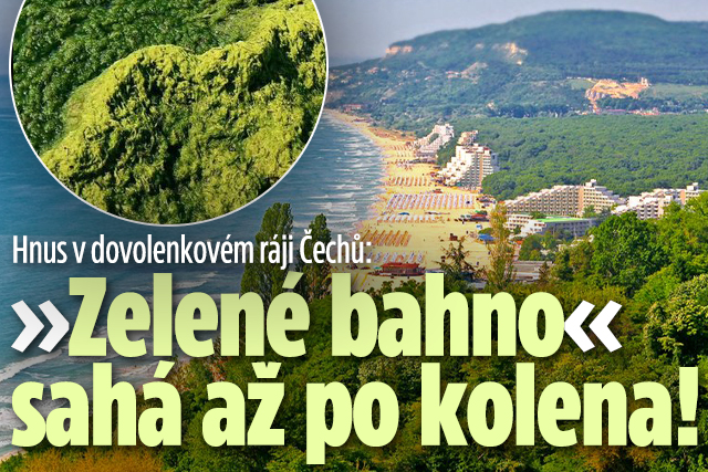 Hnus v dovolenkovém ráji Čechů: »Zelené bahno« sahá po kolena