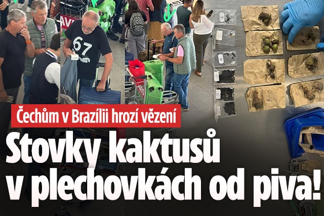 Banner ke žhavému tématu: Čechům v Brazílii hrozí vězení: Kaktusy ...