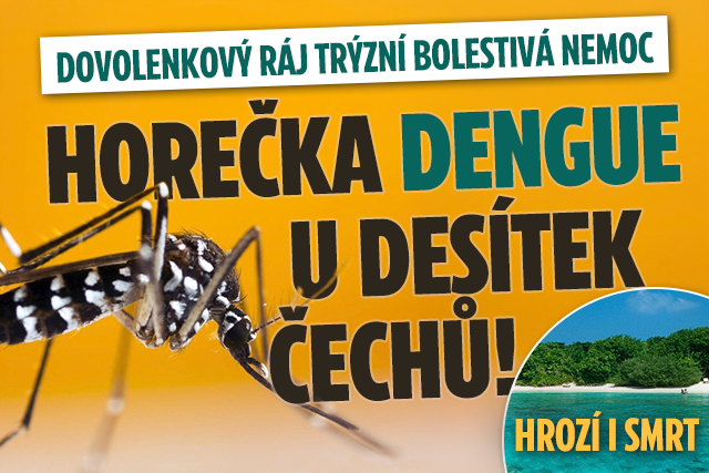 Banner ke žhavému tématu: Ráj turistů trýzní horečka dengue: ...