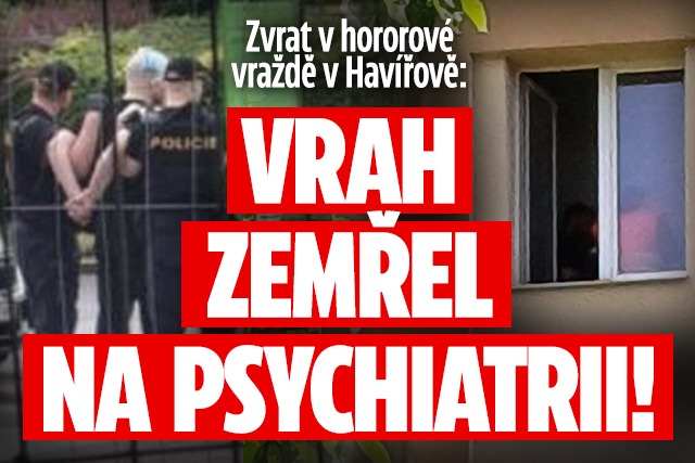 Banner ke žhavému tématu: Vraždící schizofrenik z Havířova: ...