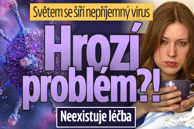 Banner ke žhavému tématu: Přibývá případů viru podobného chřipce ...