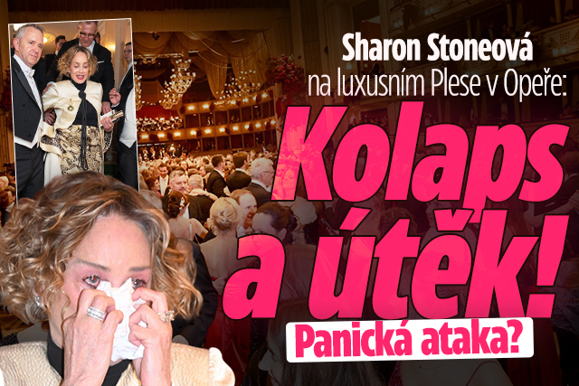 Banner ke žhavému tématu: Sharon Stoneová na luxusním Plese v ...