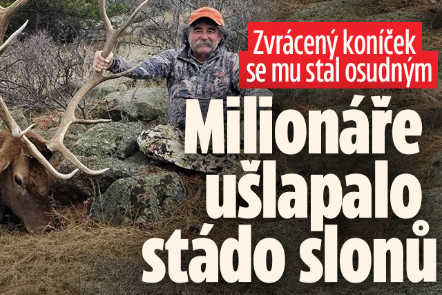 Banner ke žhavému tématu: Milionáře ušlapali sloni! Doplatil na ...