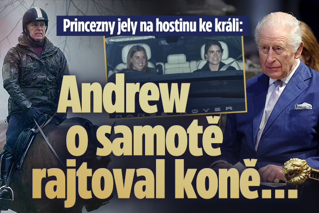 Banner ke žhavému tématu: Princezny jely na vánoční hostinu ke ...