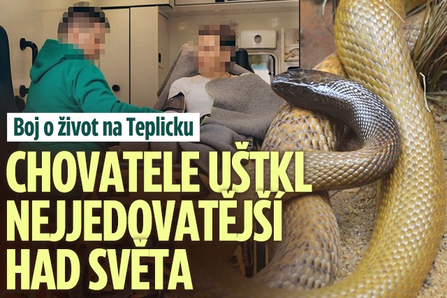Banner ke žhavému tématu: Chovatele uštkl nejjedovatější had: Boj ...