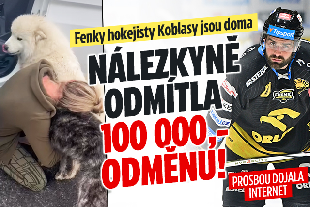 Banner ke žhavému tématu: Fenky hokejisty Koblasy jsou doma: ...