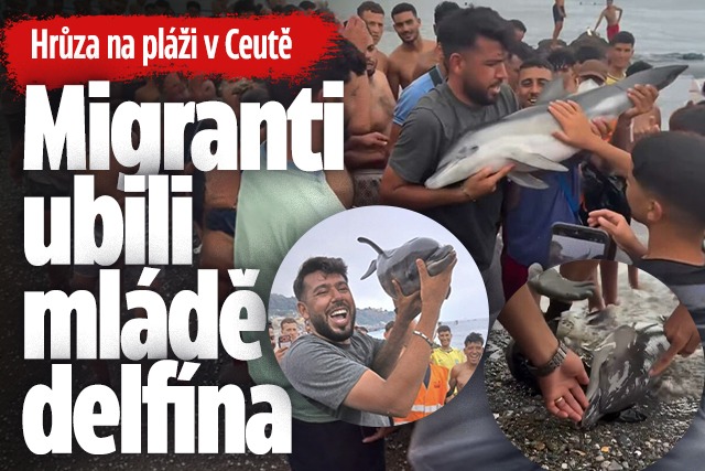 Banner ke žhavému tématu: Děs na pláži v Ceutě: Migranti zabili ...