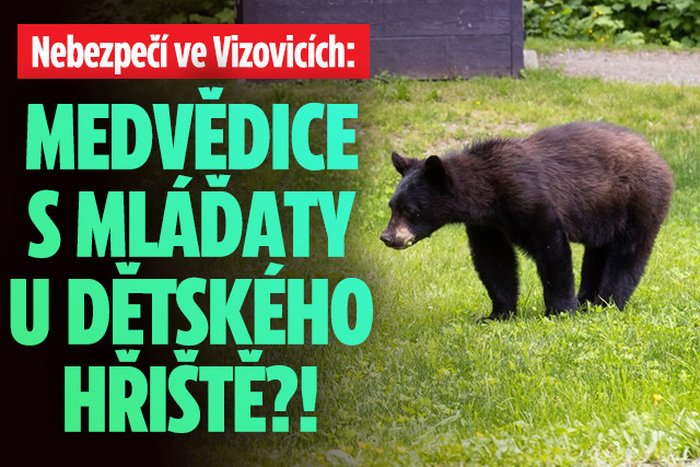Banner ke žhavému tématu: Vizovice: U dětského hřiště viděli ...