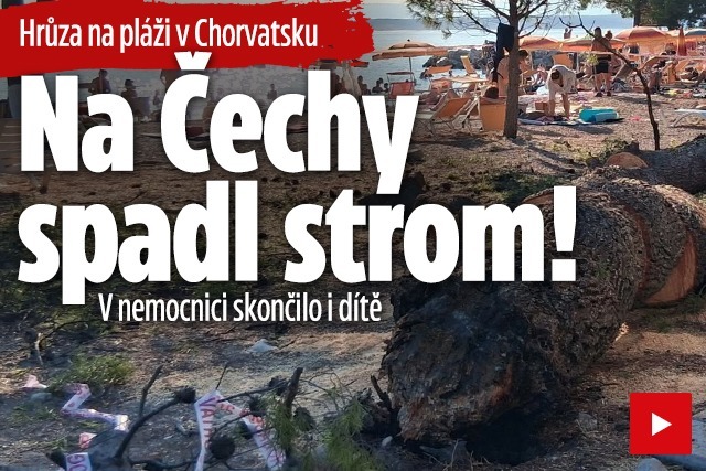 Banner ke žhavému tématu: Na Čechy v Chorvatsku spadl strom: V ...
