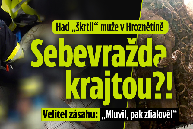 Banner ke žhavému tématu: Had „škrtil“ muže v Hroznětíně: ...