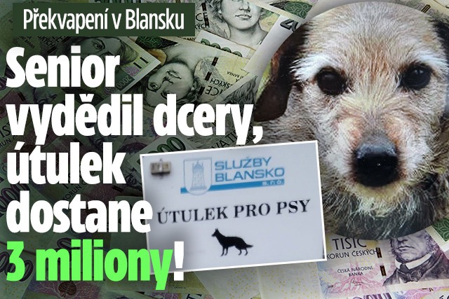 Banner ke žhavému tématu: Senior vydědil dcery: Psí útulek v ...