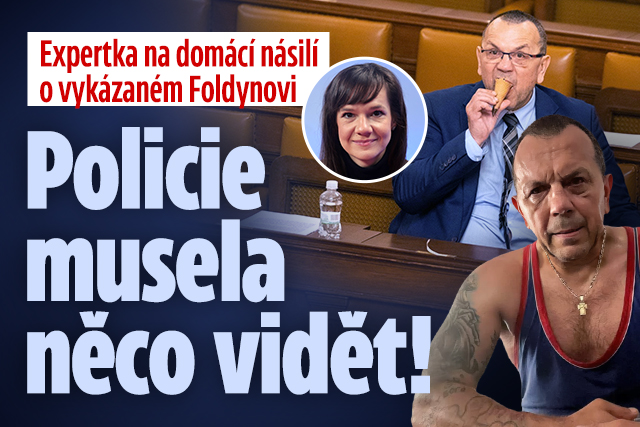 Banner ke žhavému tématu: Foldyna podezřelý z domácího násilí: Co ...
