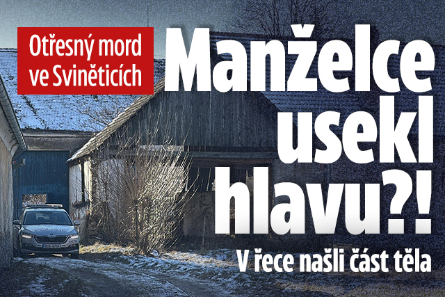 Banner ke žhavému tématu: Otřesný mord ve Sviněticích: Ženě usekl ...