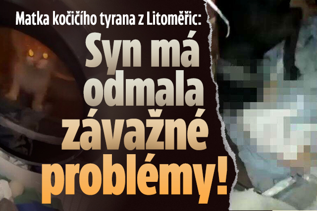 Banner ke žhavému tématu: Matka kočičího tyrana z Litoměřic: Syn ...