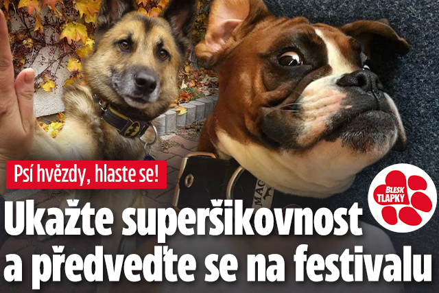 Banner ke žhavému tématu: Psí talent roku! Předveďte se na ...