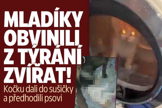 Banner ke žhavému tématu: Mladíci nacpali kočku do sušičky: ...