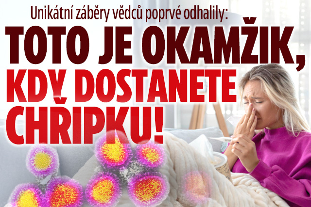 Banner ke žhavému tématu: Záběry vědců odhalily: Okamžik, kdy ...