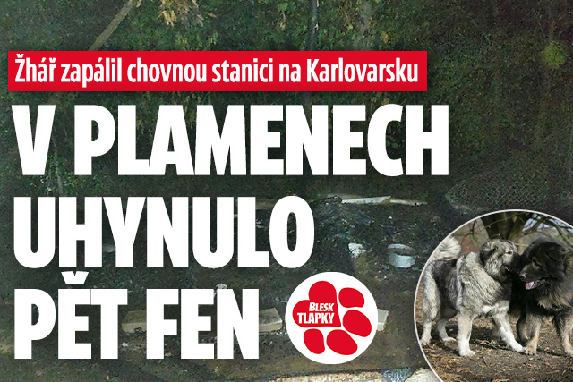 Banner ke žhavému tématu: Žhář zapálil chovnou stanici: Uhořelo 5 ...