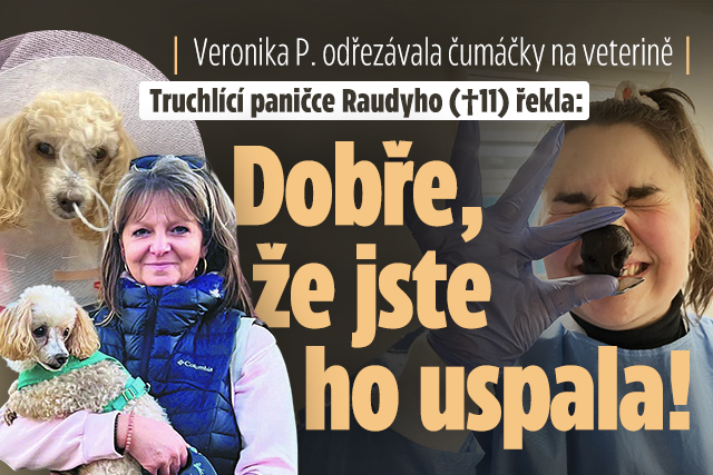Veronika P. odřezávala čumáčky, pak paničce Raudyho řekla...