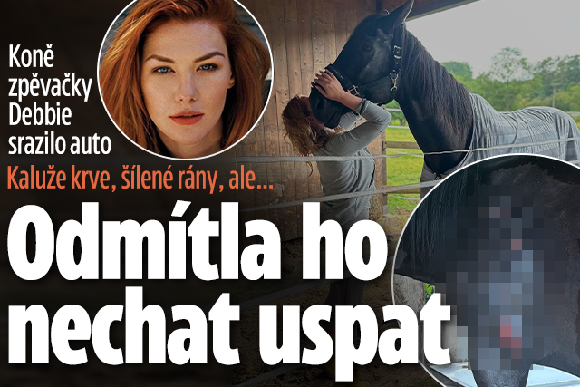 Další tragédie pro Debbi: Boj o život milovaného koně!