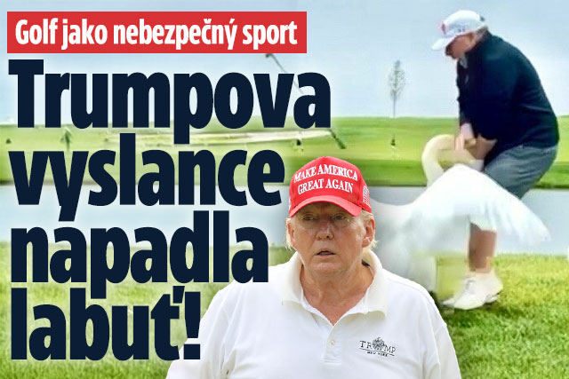 Golf je nebezpečná hra… Trumpova vyslance pokousala labuť