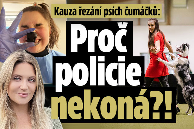 Kauza řezání psích čumáčků: Proč policie nekoná?!